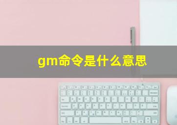 gm命令是什么意思