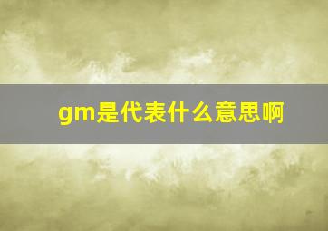 gm是代表什么意思啊