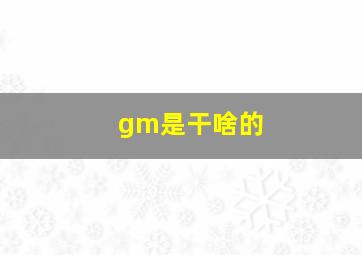 gm是干啥的