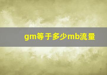 gm等于多少mb流量