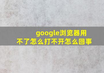 google浏览器用不了怎么打不开怎么回事