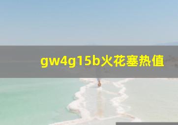 gw4g15b火花塞热值