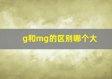 g和mg的区别哪个大