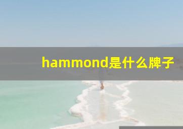 hammond是什么牌子