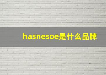 hasnesoe是什么品牌