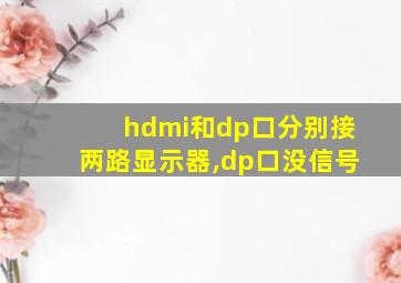 hdmi和dp口分别接两路显示器,dp口没信号