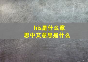 his是什么意思中文意思是什么