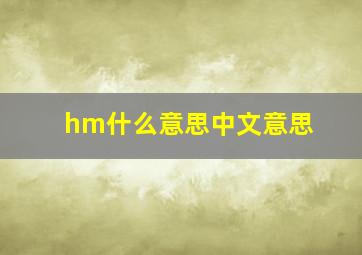 hm什么意思中文意思