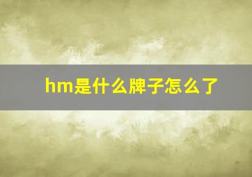 hm是什么牌子怎么了