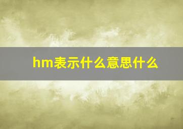 hm表示什么意思什么