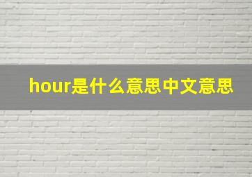 hour是什么意思中文意思