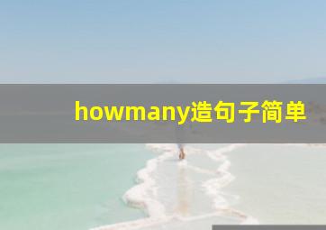 howmany造句子简单