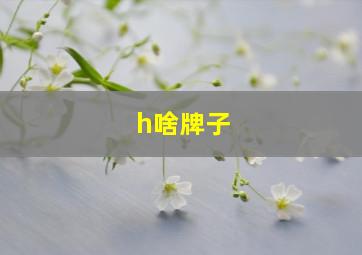 h啥牌子