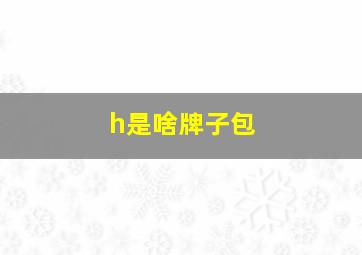 h是啥牌子包