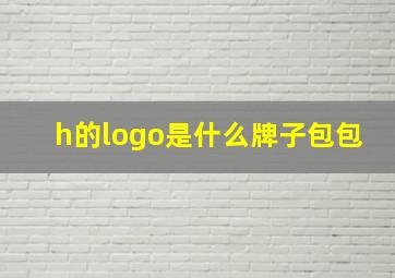 h的logo是什么牌子包包