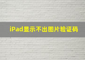 iPad显示不出图片验证码