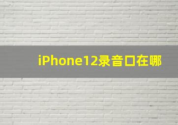 iPhone12录音口在哪