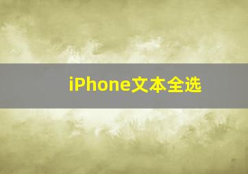 iPhone文本全选