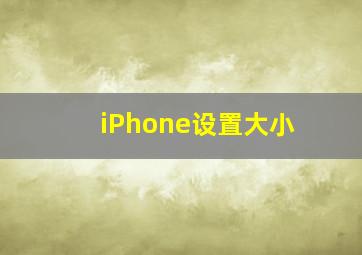 iPhone设置大小