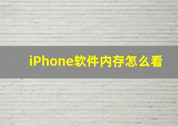 iPhone软件内存怎么看