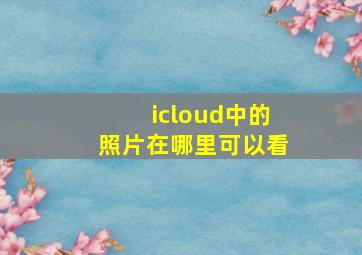 icloud中的照片在哪里可以看