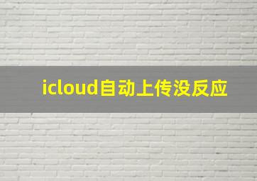 icloud自动上传没反应