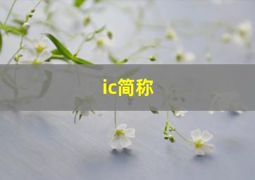 ic简称