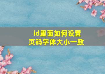 id里面如何设置页码字体大小一致