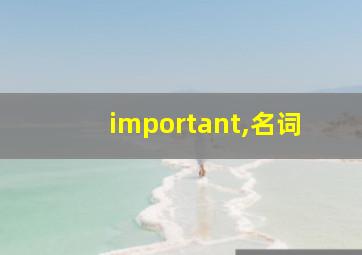 important,名词