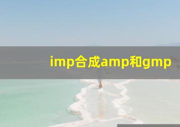 imp合成amp和gmp