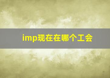 imp现在在哪个工会