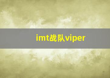 imt战队viper