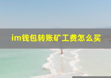 im钱包转账矿工费怎么买