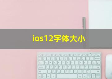 ios12字体大小