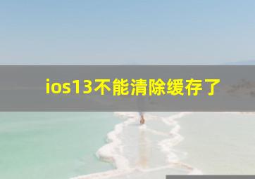 ios13不能清除缓存了