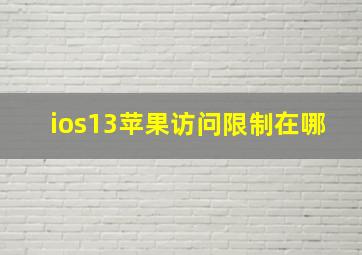 ios13苹果访问限制在哪