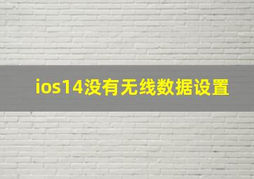 ios14没有无线数据设置