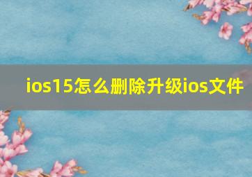 ios15怎么删除升级ios文件