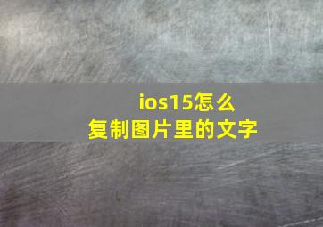 ios15怎么复制图片里的文字