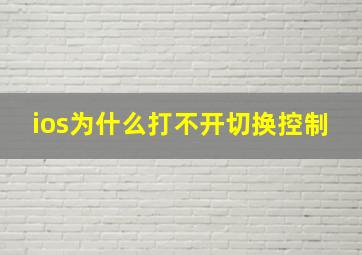 ios为什么打不开切换控制