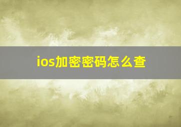 ios加密密码怎么查