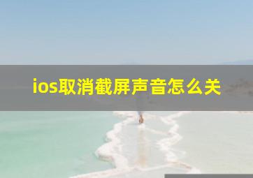 ios取消截屏声音怎么关