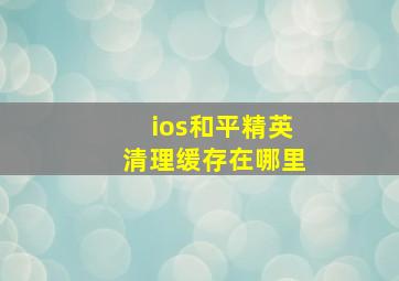 ios和平精英清理缓存在哪里