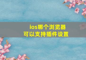 ios哪个浏览器可以支持插件设置