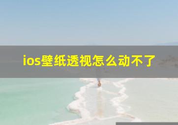 ios壁纸透视怎么动不了