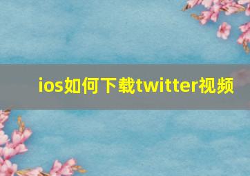 ios如何下载twitter视频