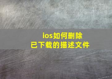 ios如何删除已下载的描述文件