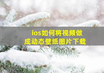 ios如何将视频做成动态壁纸图片下载