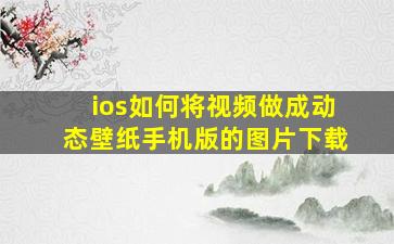 ios如何将视频做成动态壁纸手机版的图片下载