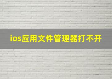 ios应用文件管理器打不开